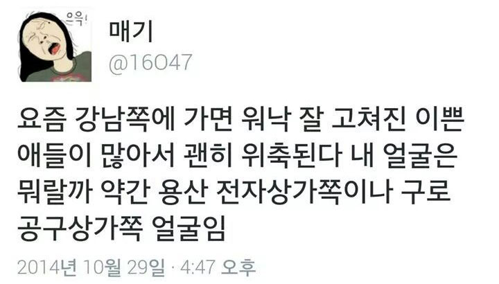트위터 '매기(@16047)'