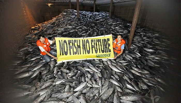 기사와 관련 없는 자료 사진 / 연합뉴스