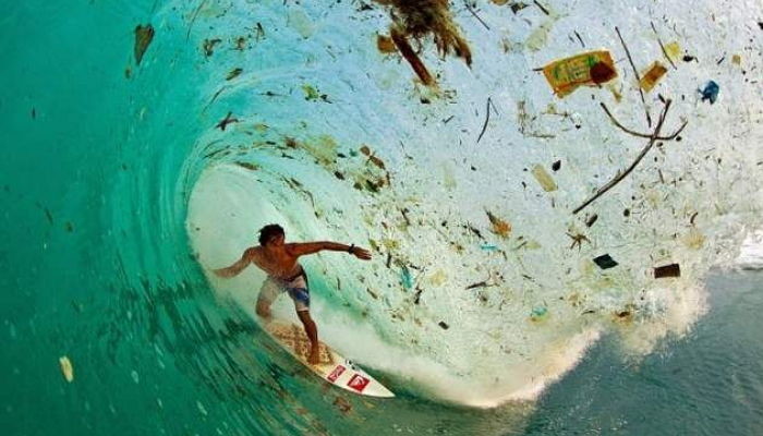 Zak Noyle/Foundation for Deep Ecology