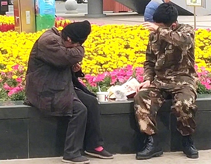 weibo '글로벌타임즈'