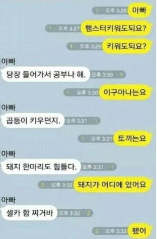 온라인 커뮤니티