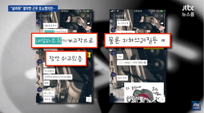 인사이트