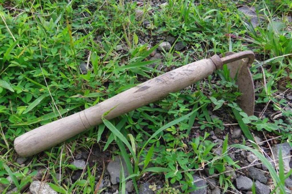 Image result for 草むしり