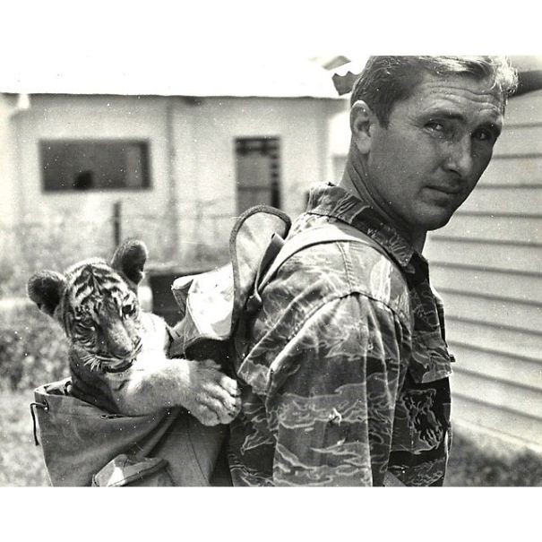 awebic-avos-descolados16