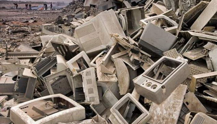 Peter Essick/Foundation for Deep Ecology