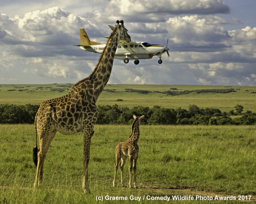 capture-decran-2017-11-22-a-12-44-34