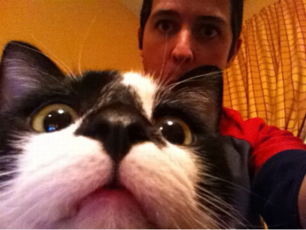 dailypicksandflicks.com