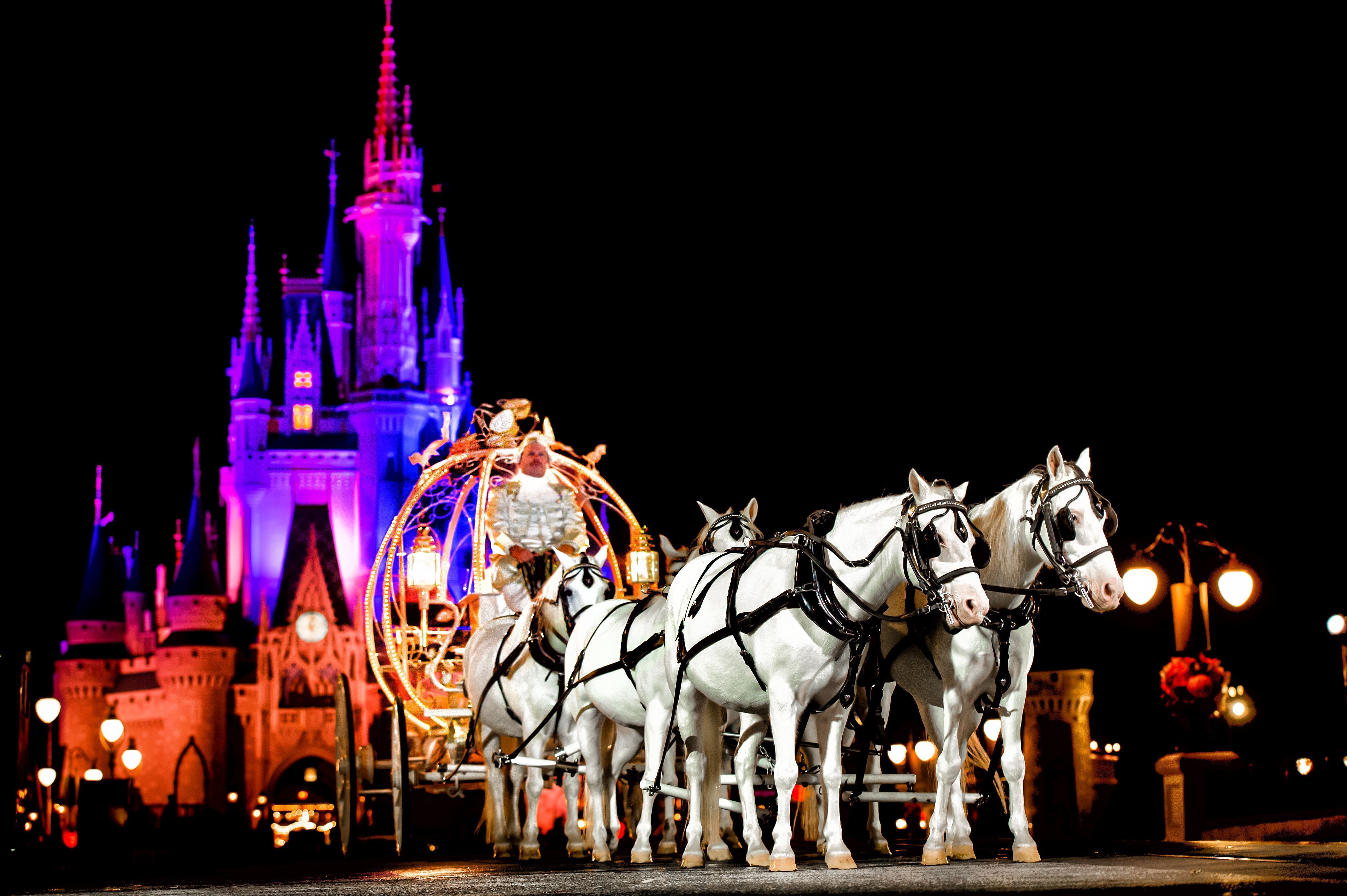 disney-castelo-carruagem-noite