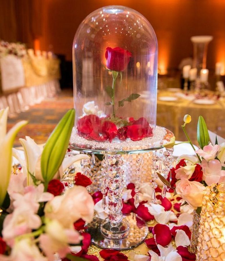 disney-rosa-bela-fera