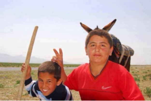 animalphotobombs.tumblr.com