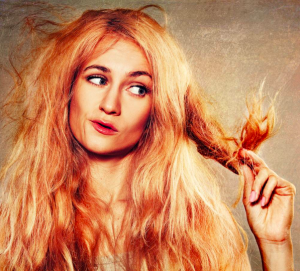 %e3%82%b9%e3%82%af%e3%83%aa%e3%83%bc%e3%83%b3%e3%82%b7%e3%83%a7%e3%83%83%e3%83%88-2017-11-25-17-34-50