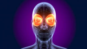 %e3%82%b9%e3%82%af%e3%83%aa%e3%83%bc%e3%83%b3%e3%82%b7%e3%83%a7%e3%83%83%e3%83%88-2017-11-26-22-05-27