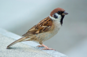 %e3%82%b9%e3%82%af%e3%83%aa%e3%83%bc%e3%83%b3%e3%82%b7%e3%83%a7%e3%83%83%e3%83%88-2017-12-03-19-08-38