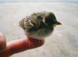 %e3%82%b9%e3%82%af%e3%83%aa%e3%83%bc%e3%83%b3%e3%82%b7%e3%83%a7%e3%83%83%e3%83%88-2017-12-03-19-11-16