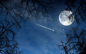 %e3%82%b9%e3%82%af%e3%83%aa%e3%83%bc%e3%83%b3%e3%82%b7%e3%83%a7%e3%83%83%e3%83%88-2017-12-04-18-22-36