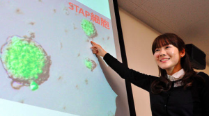 %e3%82%b9%e3%82%af%e3%83%aa%e3%83%bc%e3%83%b3%e3%82%b7%e3%83%a7%e3%83%83%e3%83%88-2017-12-08-0-27-08