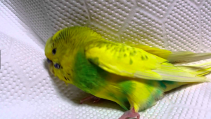 %e3%82%b9%e3%82%af%e3%83%aa%e3%83%bc%e3%83%b3%e3%82%b7%e3%83%a7%e3%83%83%e3%83%88-2017-12-12-19-24-05