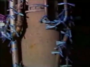 %e3%82%b9%e3%82%af%e3%83%aa%e3%83%bc%e3%83%b3%e3%82%b7%e3%83%a7%e3%83%83%e3%83%88-2017-12-12-19-31-20