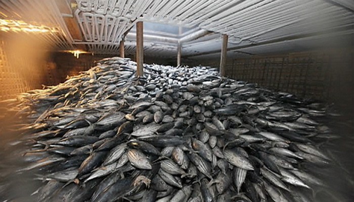 기사와 관련 없는 자료 사진 / 연합뉴스