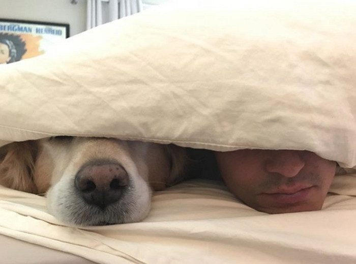 반려견 망고와 즐거운 시간을 보내고 있는 다니엘 헤니 / Instagram 'danielhenneyofficial'