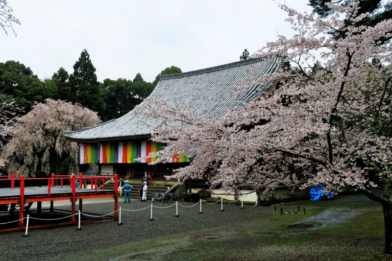 Image result for 江原啓之 茶室