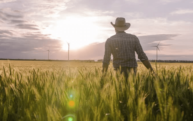 Image result for Katie Spence Pugh s