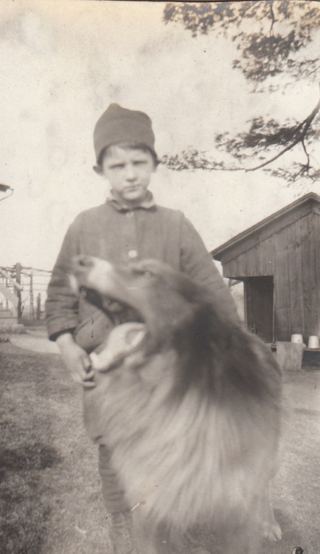 animalphotobombs.tumblr.com