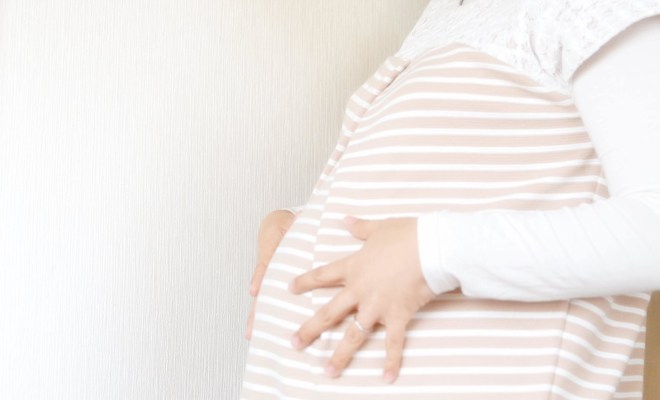 Image result for 金子 ノブアキ レイミー　妊娠