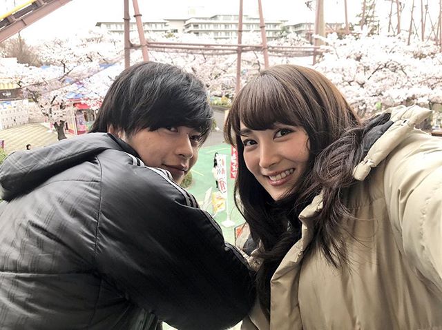 Image result for 田中圭　さくら