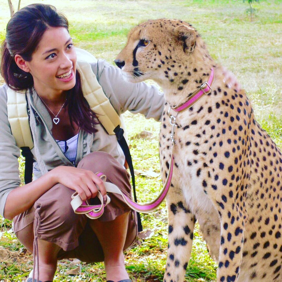 Image result for 森泉 ペット