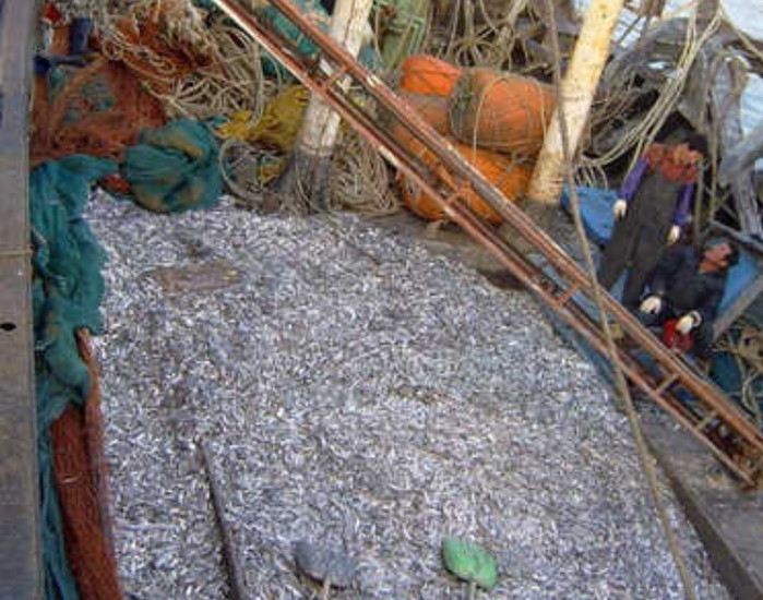 기사와 관련 없는 자료 사진 / 연합뉴스