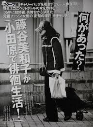 藤谷美和子 徘徊에 대한 이미지 검색결과