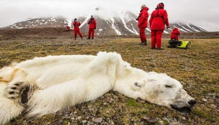 Ashley Cooper/Foundation for Deep Ecology