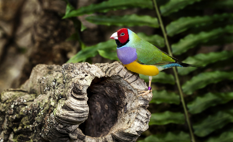 shutterstock_166544672