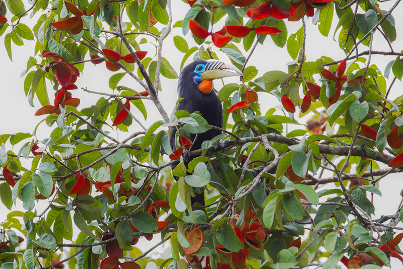 shutterstock_527551774