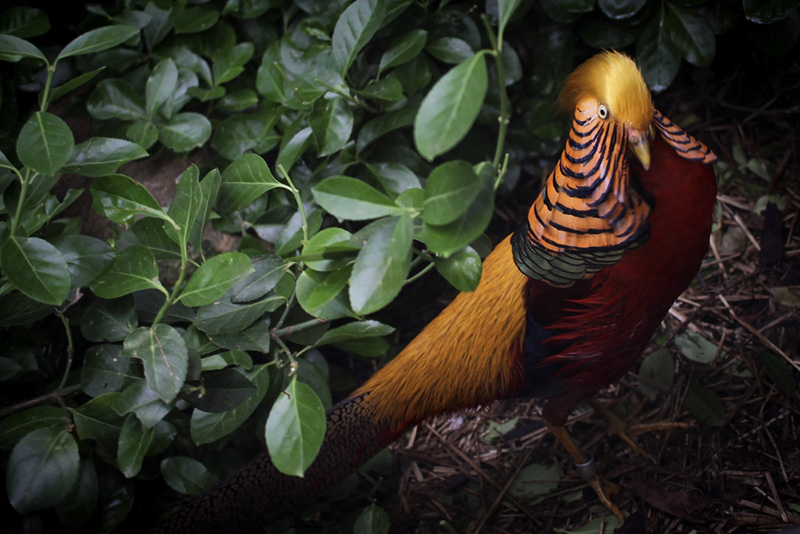 shutterstock_733065277