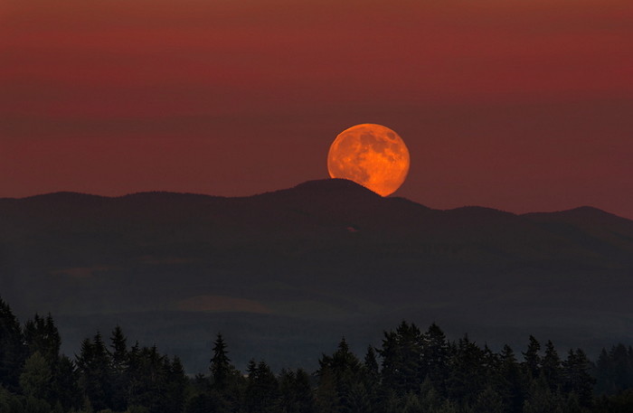 gettyimagesbank