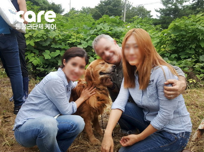 다니엘 헤니에게 입양되기 전 로스코의 모습 / 동물권단체 케어 