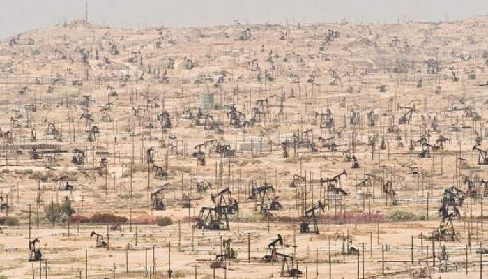 Mark Gamba/Corbis/Foundation for Deep Ecology