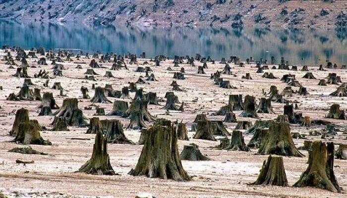 Daniel Dancer/Google Earth/Foundation for Deep Ecology