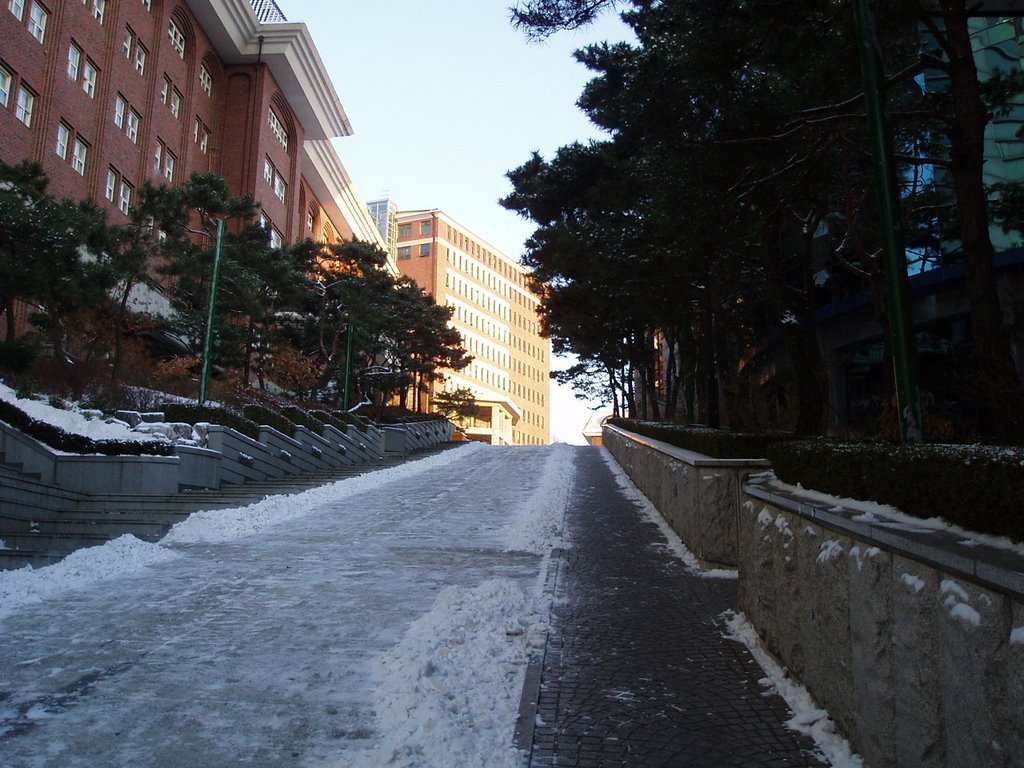 서경대 언덕에 대한 이미지 검색결과