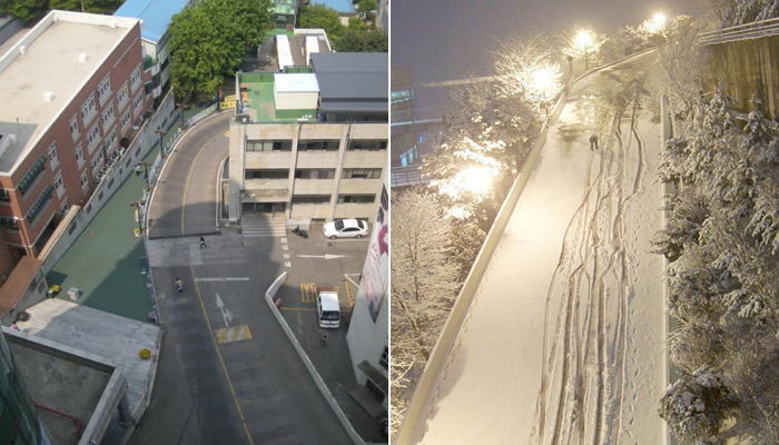 인사이트