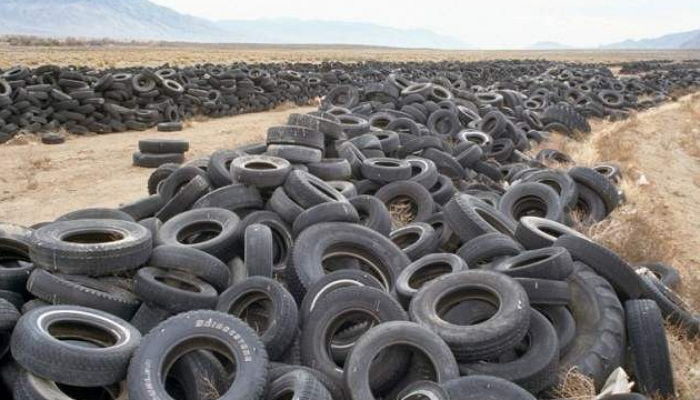 Daniel Dancer/Foundation for Deep Ecology