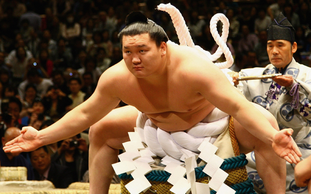 Image result for 横綱白鵬