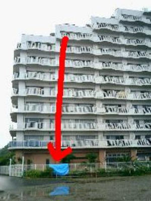 Image result for 窪塚洋介　9階からの転落