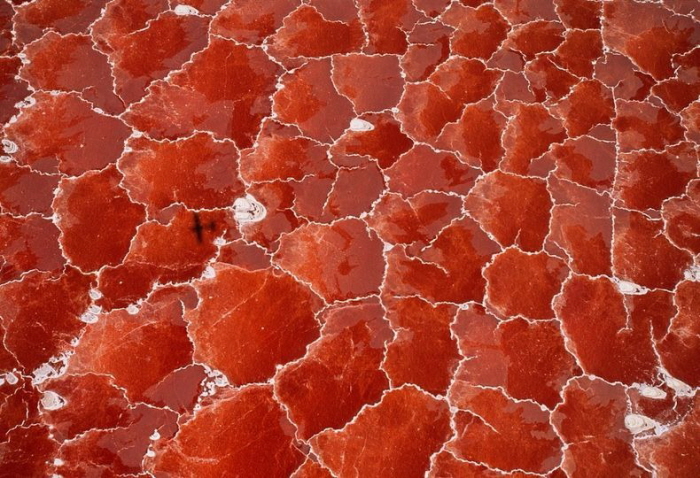 Science - National Geographic