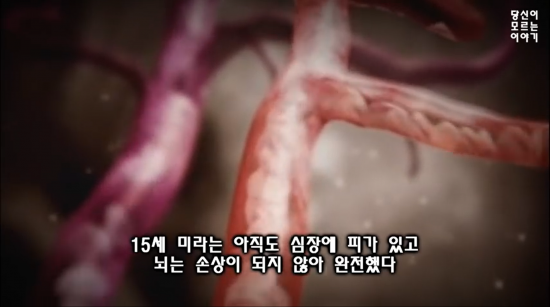 Youtube '당신이 모르는 이야기'
