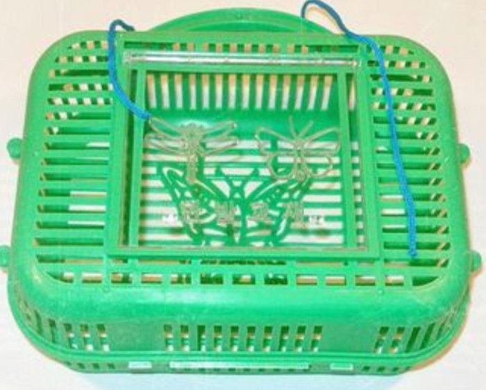 곤충채집통 / 온라인커뮤니티