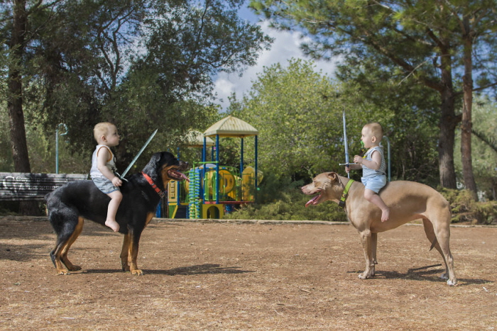 Facebook 'Guy Vainer'