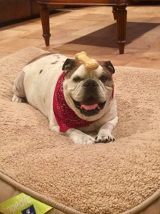 16425865_10212092651740659_109174952964605658_n